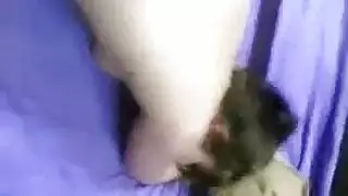 خيال الديوث: مشاهدة زوجتي تُضاجع بقوة وتصوير ذلك