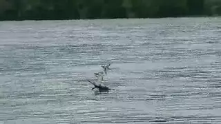 ذهب أليتا المحيط و ميا تايلور إلى عطلتهم وجعل الحب طوال اليوم