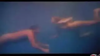 إبندي تركي حار: زبور كبيرة وفراجات مبللة